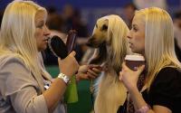 Three blondes
