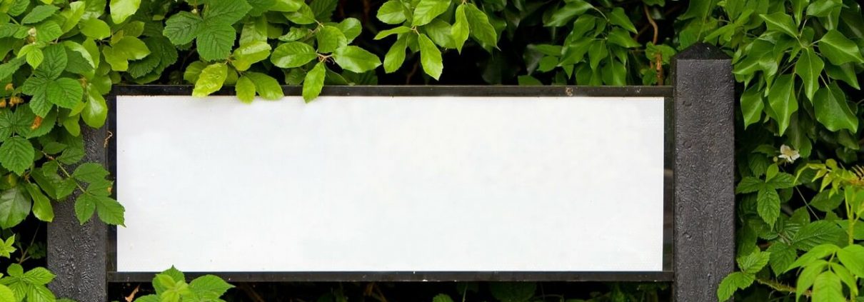 White board surrounded by leaves