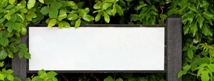 White board surrounded by leaves